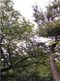 e673704c.jpg