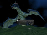 32890c70.JPG
