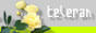 teleranバナー