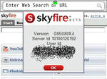 skyfireabout.jpg