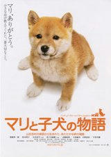 mari-movie 