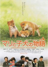 mari-movie 