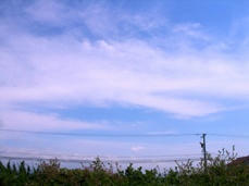 20080614-3.JPG