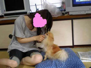 chibi to yocchi