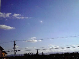 20081219  携帯
