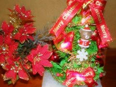 xmas turi-