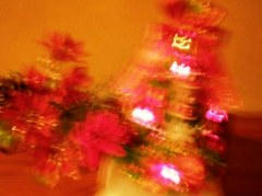 xmas turi-