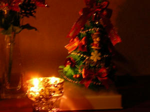 xmas turi-