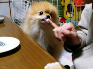 chibi