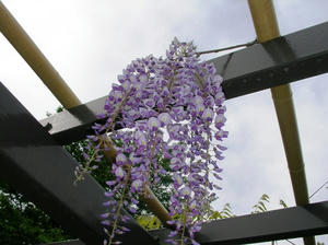 20100509-1.JPG