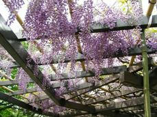 20100509-2.JPG