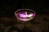 20101003-2.JPG