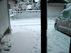 20110116.JPG