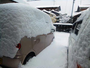 20120126.JPG