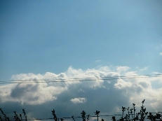 20120124-2.JPG