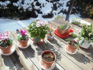 20120219-2.JPG
