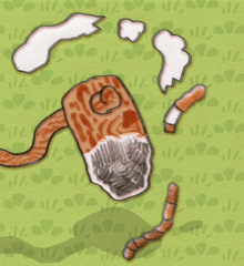 いちじょうきゅういん 一条蚯蚓