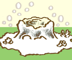 ごんげんさまのうまれどこ 権現様の生れ所