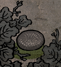 ばふんせき　馬糞石