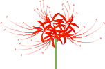 ill_higanbana01.gif