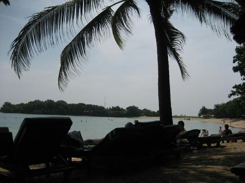 IMG_4172.JPG