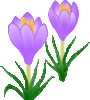 ico_crocus.gif