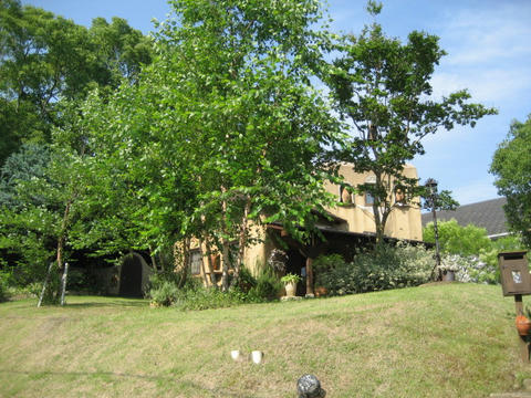 IMG_4519.JPG