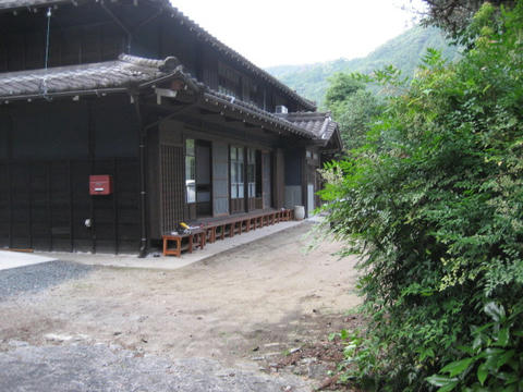 IMG_4529.JPG