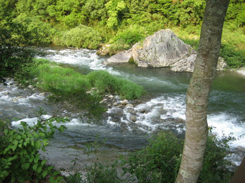 IMG_4521.JPG