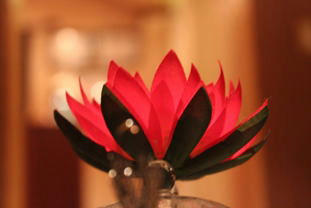 room_0046s1.jpg