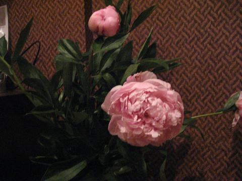 IMG_2142.JPG