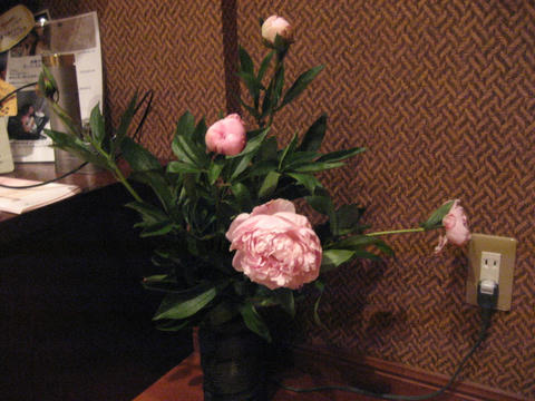 IMG_2144.JPG