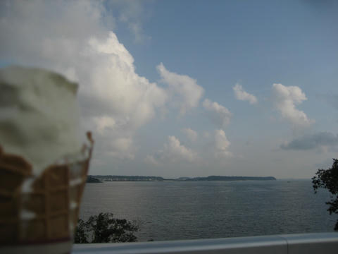 IMG_2342.JPG