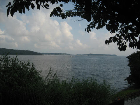 IMG_2346.JPG
