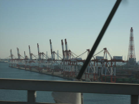 IMG_2447.JPG
