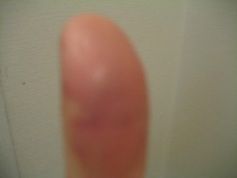 IMG_2549.JPG