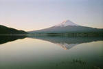 fuji2008.jpg