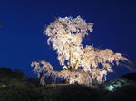 CIMG0499.JPG