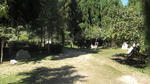 sagano8.JPG