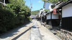 sagano5.JPG