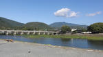 sagano1.JPG