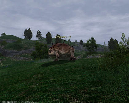FFXIV_1285505490.jpg