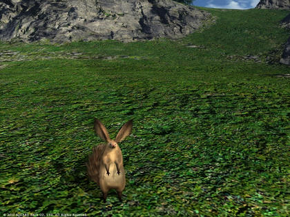FFXIV_1287588274.jpg