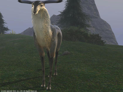 FFXIV_1287588644.jpg