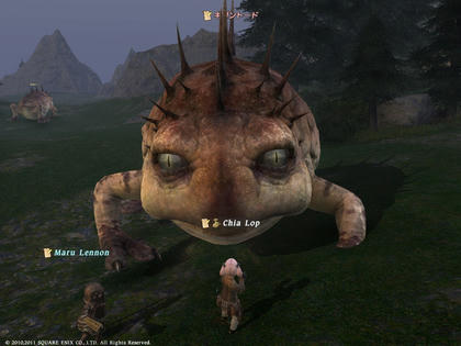 68800247.jpg