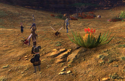 FFXIV_1296747248.jpg