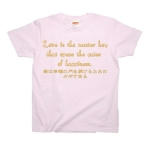 Loveisthemasterkey4 41752_babypinks