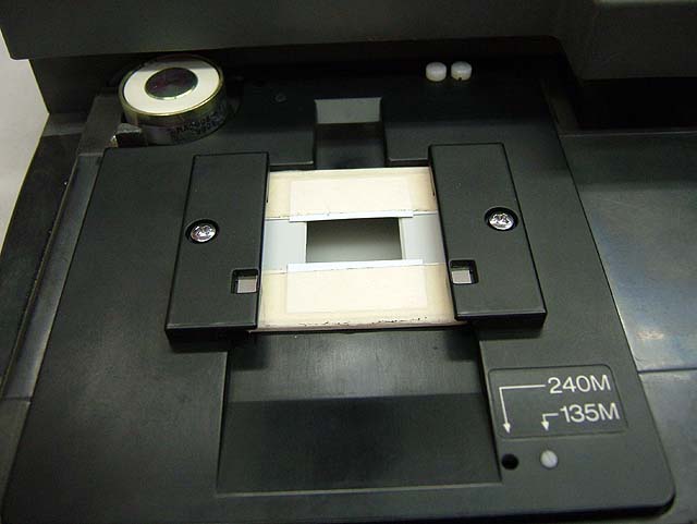 DSCF0631.jpg