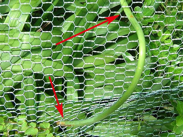 09080501.jpg