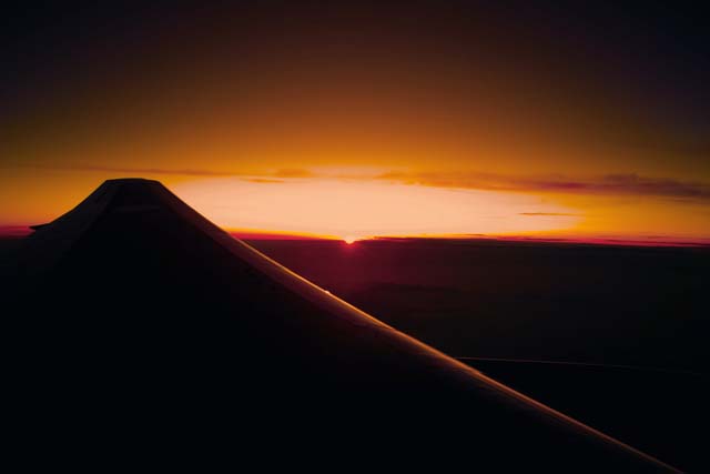 SDI11032.jpg